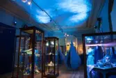 Vänersborgs museum. Sommarutställningen Aqua Blå