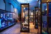 Vänersborgs museum. Sommarutställningen Aqua Blå