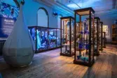Vänersborgs museum. Sommarutställningen Aqua Blå