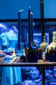 Vänersborgs museum. Sommarutställningen Aqua Blå