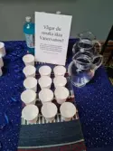 Vänersborgs museum. Invigning av utställningen Aqua Blå