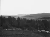 Djura, Leksand. Sjöbotten från Knuts Anders nya gård.

