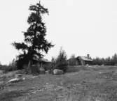 Djura, Leksand. Gråda. Gran, bastu och smedja.

