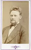 Mansporträtt.