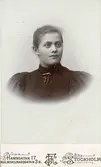 Kvinnoporträtt.
