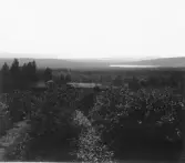 Leksand, Lindberg, Sör Nyströms trädgård.

