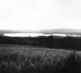 Leksand. Ejen från Dammskog


