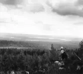 Leksand. Ejen och Draggen från Dammbolagets slutberg.

