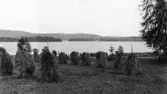 Leksand. Dalälven. Österviken och kyrkudden. Tibbleberget i bakgrunden.

