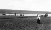 Leksand. Dalälven. Österviken och Västanvik från Åkerö.

