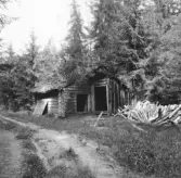 Leksand. Heden. Smedjan med granar norr om helvetesgropen.

