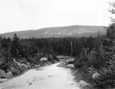 Leksand. almberg från landsvägen.

