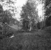 Leksand. Grytnäsdalen och bäcken nära Trefaldighetskällan.

