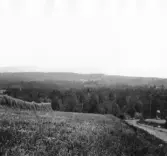 Leksand. Skinnaråsen och Skolhol från Backa.

