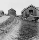 Gisselbo, Grytnäs. Jan Ers. Sädeshärbre i mitten t.h. stolphärbre

