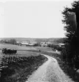 Knallasbenning. Grytnäs. 

