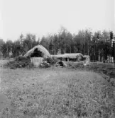 Knallasbenning. Grytnäs. Holms f. Hallbergs källaren, ladugård och dass.


