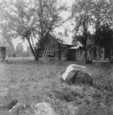 Knallasbenning. Grytnäs. Holms f. Hallbergs stugan, före korpral Blombergs.

