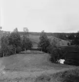 Nyhyttan. Grytnäs. Tuppens udde, håltäppa 1930.

