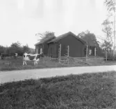 Kyrkbyn. Grytnäs. Kaplagården, flygelbyggnaden.

