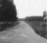 Skogsbro. Grytnäs. Vägen vid Skogsbro.

