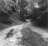 Grytnäs. Jämtsveden som tillhör järnverket. 1930.

