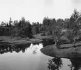 Gagnef. Missmörsbäcken.


