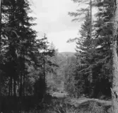 Gagnef. Nolbäcksbuan.

