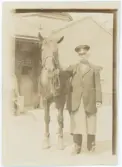 Hästutkörare Petterssson vid Uppsala Mejeri omkring 1920