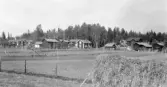 Gagnef. Skogen. Från Djurås bangård.

