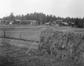 Gagnef. Skogen. (från Djurås st.)

