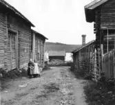 Gagnef. Gråda. Moje. Gålgattu.[Gålgatan] Mojesjön i bakgrunden.

