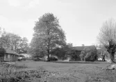 Stora Bona