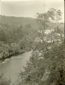 Älvkarlebyfallen innan älven dämdes upp, omkring år 1906 (enligt text i album).
