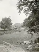 Lantlig miljö med en byggnad och en stengärdsgård någonstans i Älvkarleby, omkring år 1906 (enligt text i album).