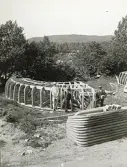 Byggandet av timmerränna, omkring år 1906 (enligt text i album).
