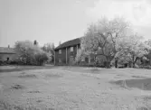 Högshult