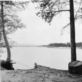 Mora. Lövholmen. Landängarna t.h. Bastubacksbron i bakgrunden.

