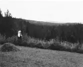Mora. Spjutmo. Oxbergs fäbod i berget i bakgrunden.

