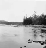 Mora. Österdalälven. Laxfiske mellan Oxberg och Gopshus.

