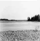 Mora. Österdalälven. Laxfiske på land. Åmänget.

