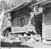 Mora. Bergkarlås. Härbre, köpmans.

