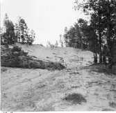 Mora. Bonäs. Från sanddynerna.

