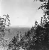 Mora. Grönsberget mot Våmhus.

