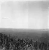 Mora. Grönsberget. Utsikt mot Mora och Siljan.

