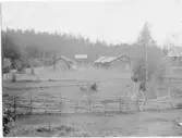 Mora. Eldris. Fäbodgård.

