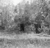 Mora. Siljansfors. Masugnsruin.

