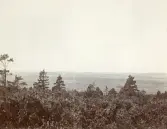 Vy över landsbygden vid Älvkarleby, omkring 1906 (enligt text i album).