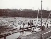 Arbetet med tillfälliga fångdammar som byggdes för att torrlägga älvfåran vid byggandet av Älvkarleby kraftverk, omkring 1906 (enligt text i album).