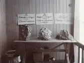 Materialprov och gjutförsök som ingenjörerna utförde på plats vid byggandet av Älvkarleby kraftverk, omkring 1906 (enligt text i album).